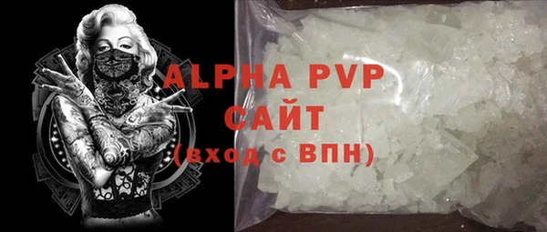 PSILOCYBIN Белокуриха