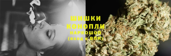 PSILOCYBIN Белокуриха