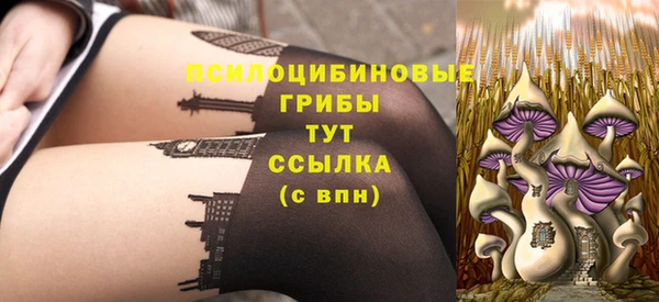 PSILOCYBIN Белокуриха