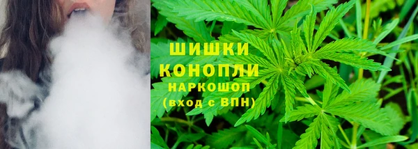 PSILOCYBIN Белокуриха